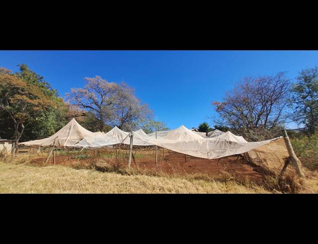 3.50HA SMALLHOLDING FOR SALE IN BOSCHFONTEIN AH